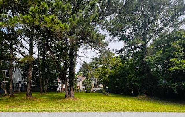 0 Pandora Drive Mount Pleasant, SC 29466 - Photo 2 of 3 IMG_9355