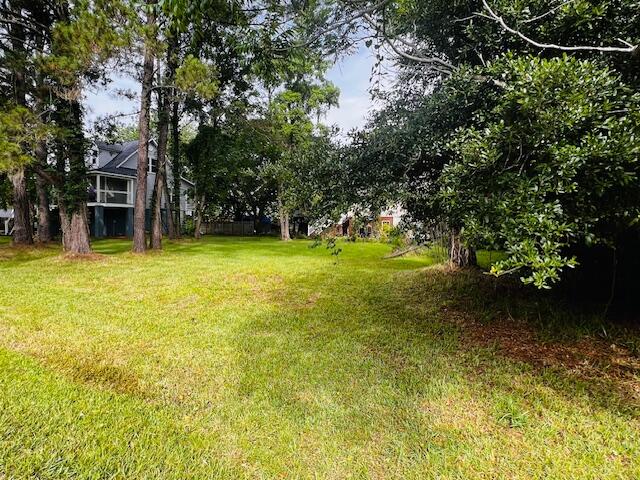 0 Pandora Drive Mount Pleasant, SC 29466 - Photo 3 of 3 IMG_9358