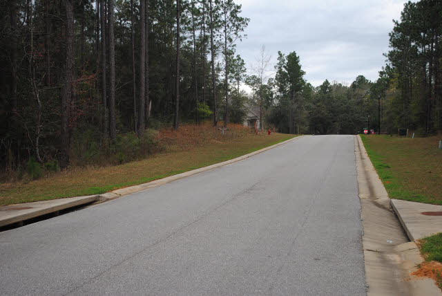 20025 Bunker Loop Fairhope, AL 36532 - Photo 5 of 15