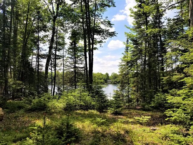 3 Cramer Lake Road Mercer, WI 54547 - Photo 10 of 10 Gallery Image 10