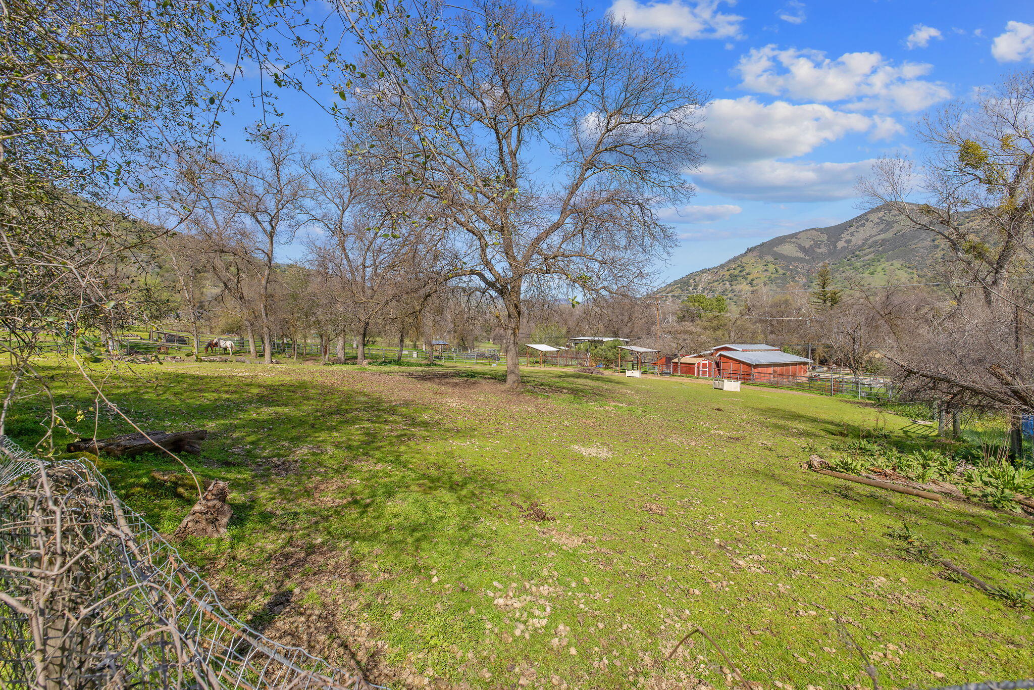 42843 North Fork Drive Three Rivers, CA 93271 - Photo 40 of 73 46-web-or-mls-713A0152