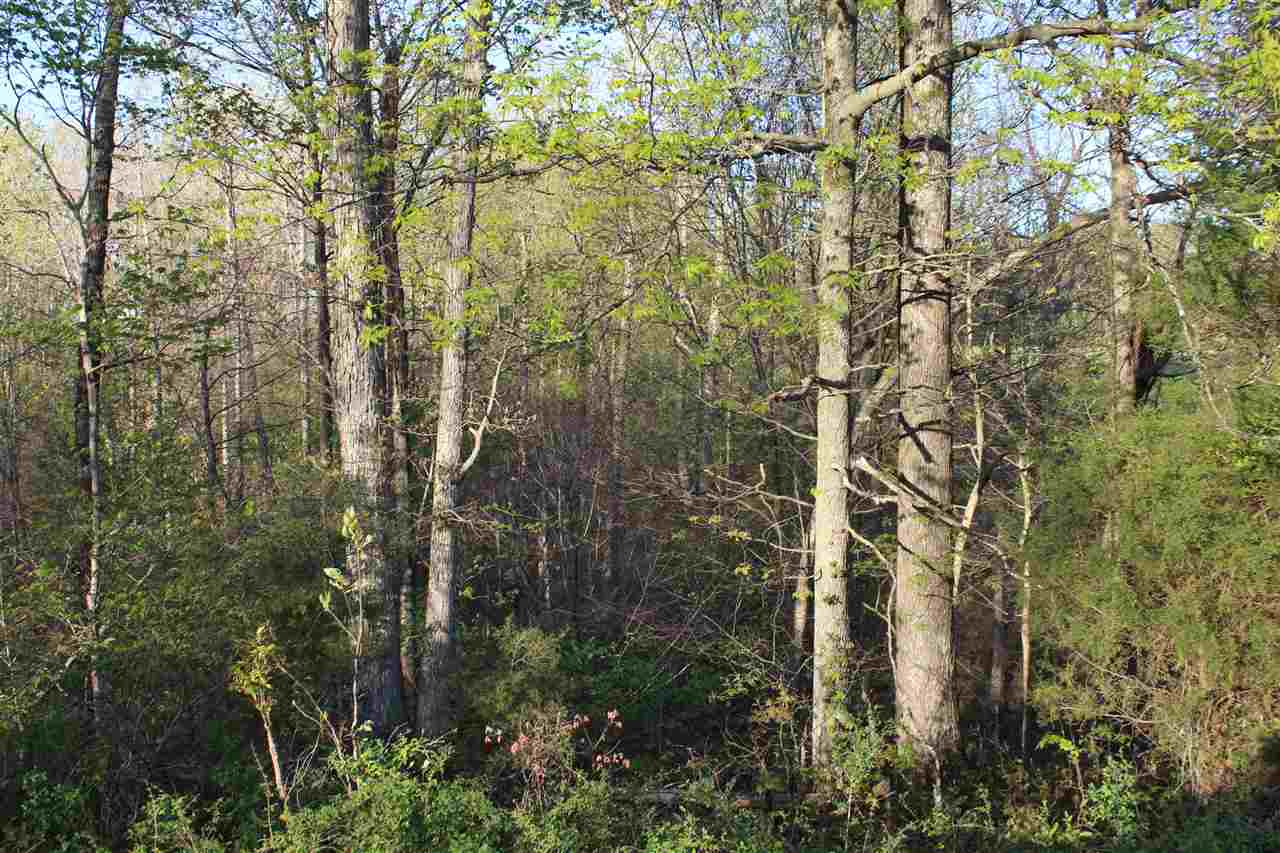 2188 Union Light Road Mammoth Cave, KY 42259 - Photo 18 of 22 Gallery Image 18