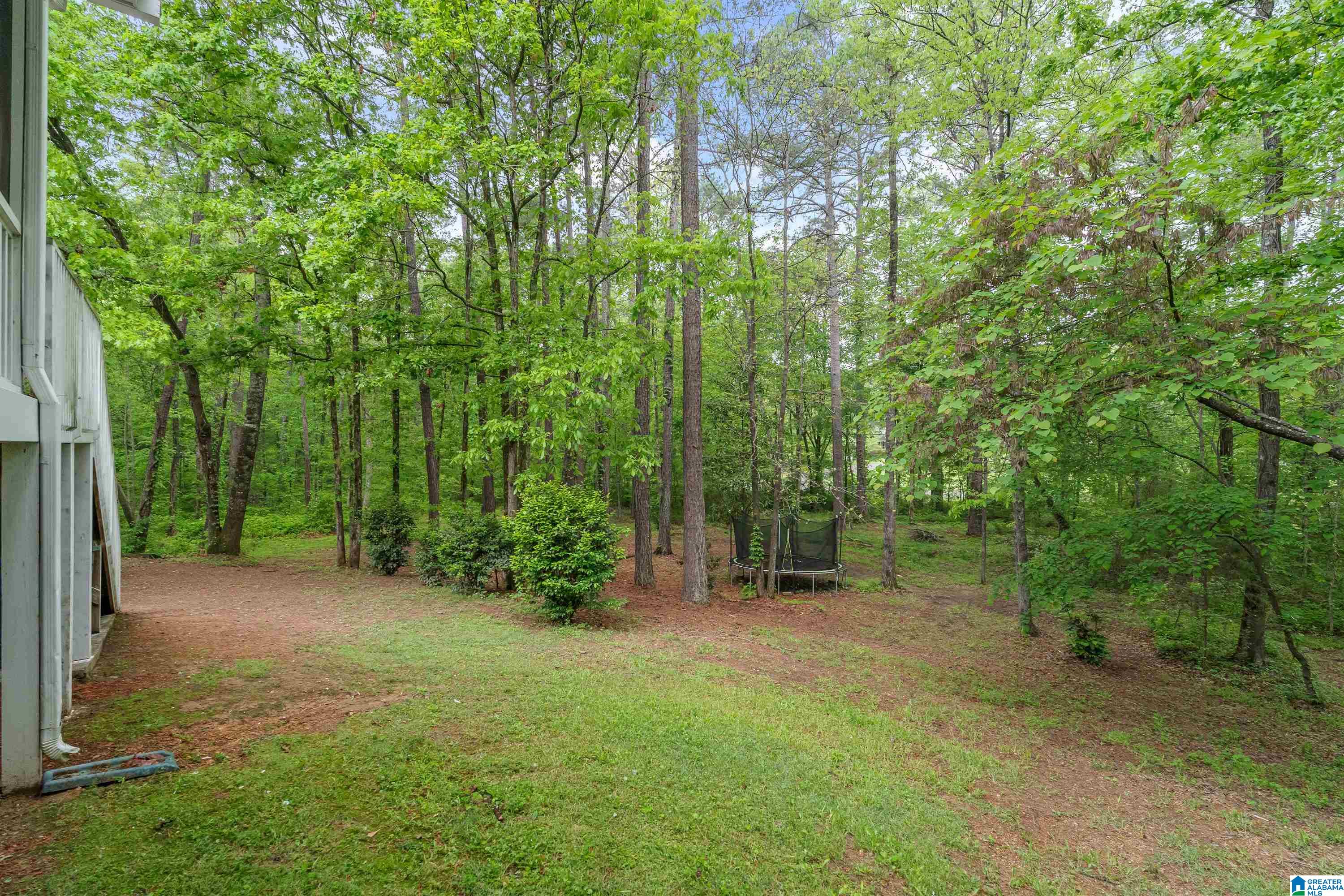 158 Timber Trail Chelsea, AL 35043 - Photo 43 of 45