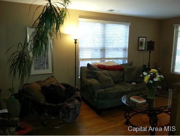 2132 South Walnut Street Springfield, IL 62704 - Photo 3 of 15