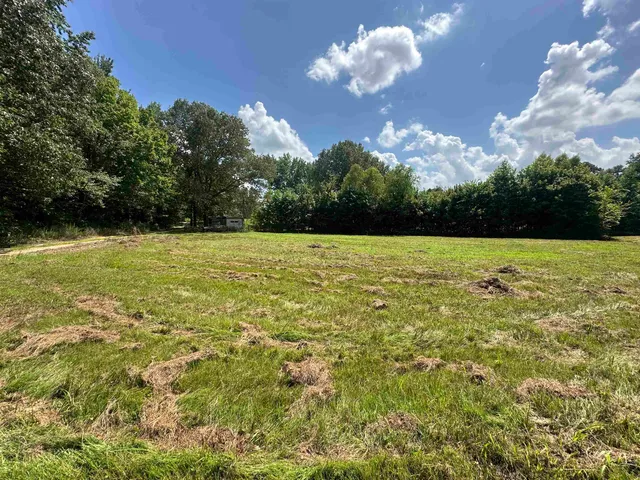 $120,000 | 0 Old L&N Road, Stanton, TN 38069