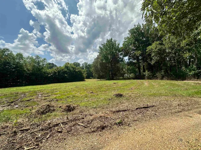 $120,000 | 0 Old L&N Road, Stanton, TN 38069