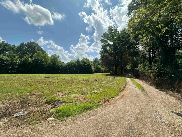 $120,000 | 0 Old L&N Road, Stanton, TN 38069