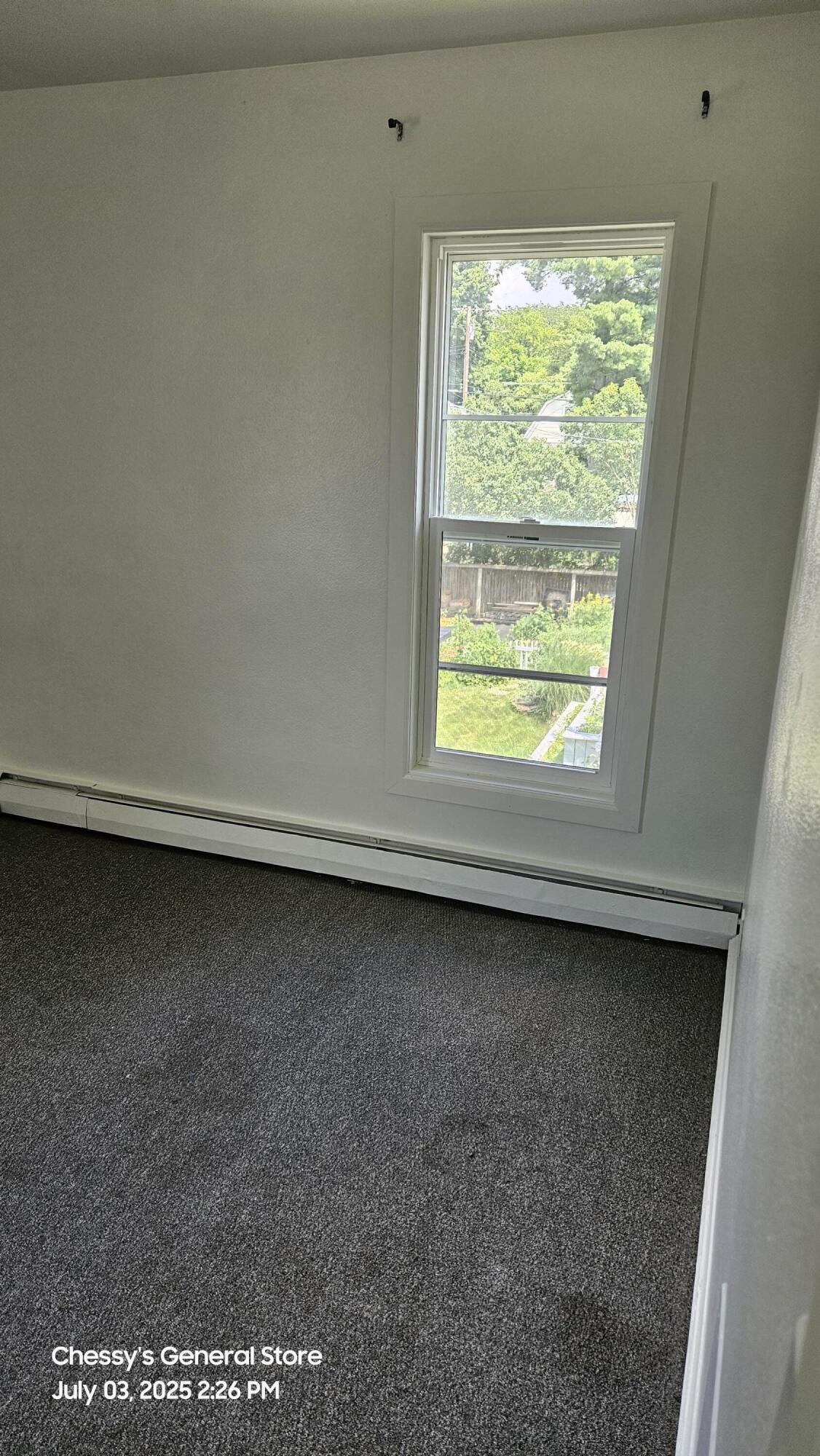 141 County Street Milan, MI 48160 - Photo 11 of 15 20250703_142647