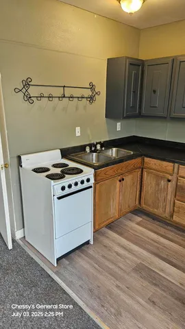 $541,000 | 141 County Street, Milan, MI 48160