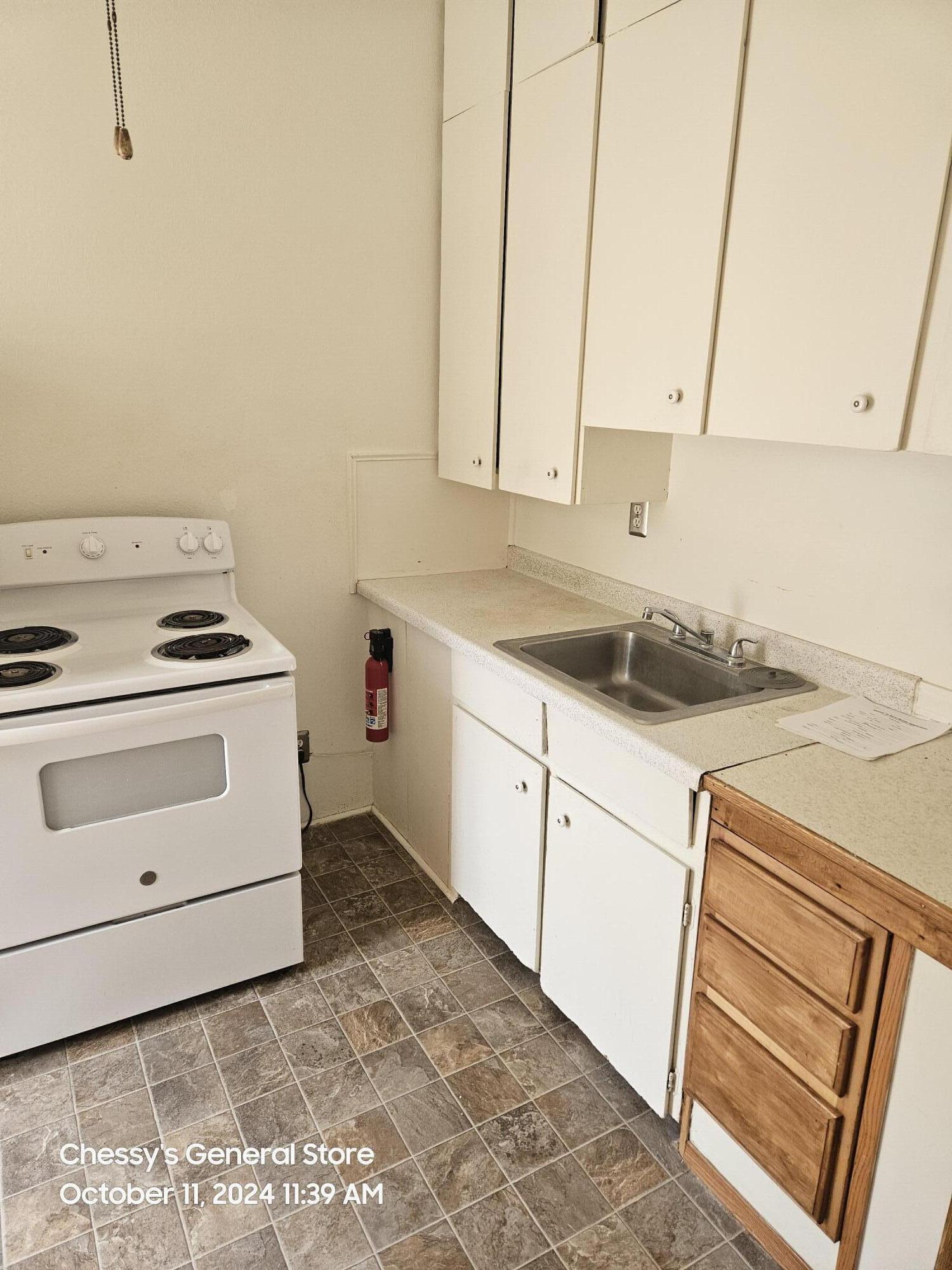 141 County Street Milan, MI 48160 - Photo 8 of 15 image (1)