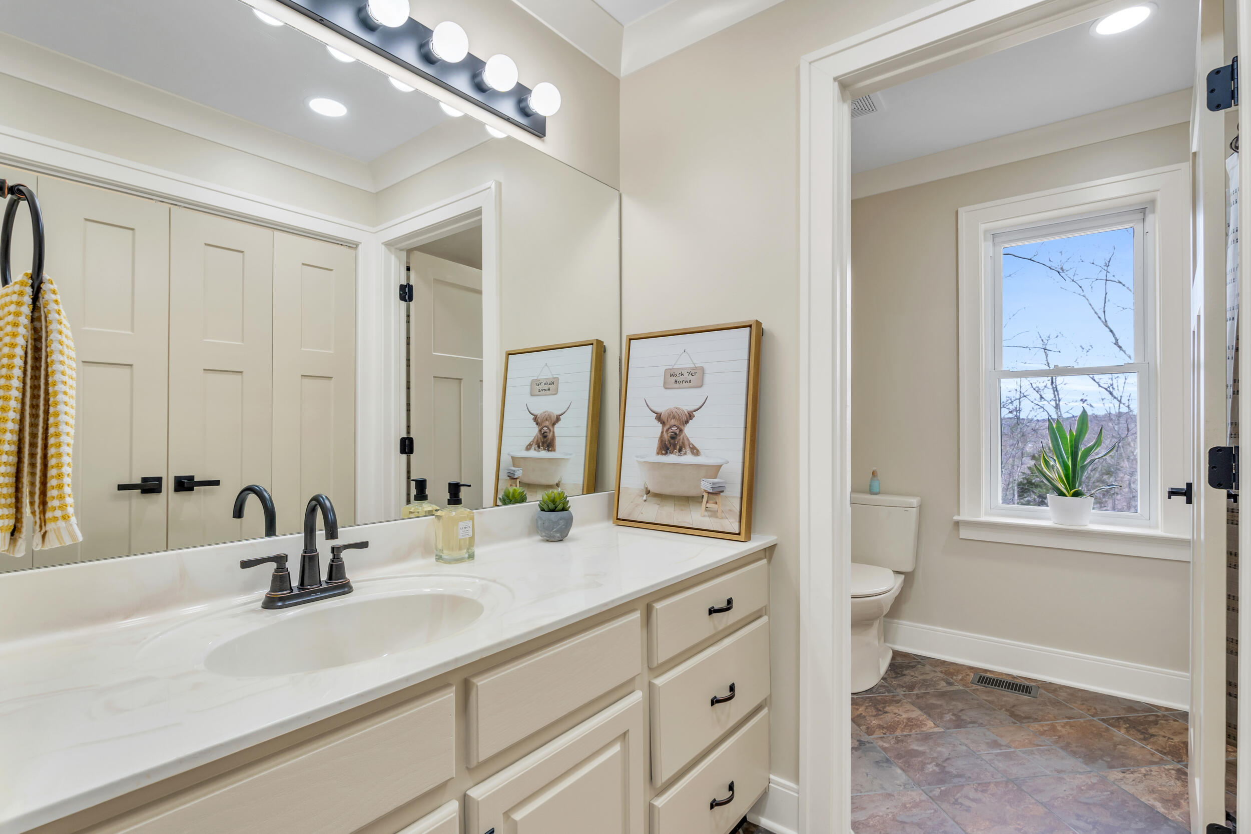 5227 Bell Ridge Drive Apison, TN 37302 - Photo 30 of 58 Guest bathroom