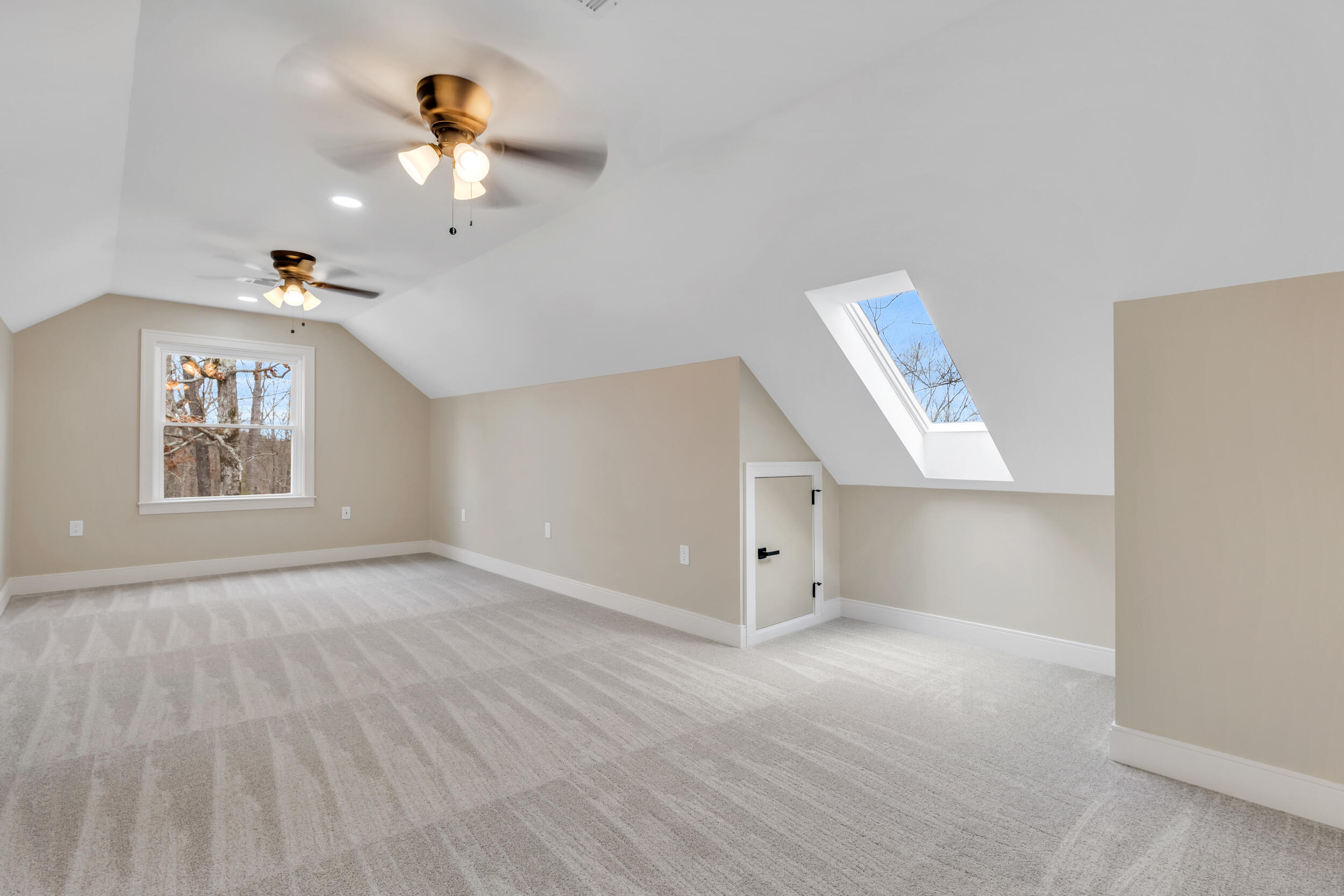 5227 Bell Ridge Drive Apison, TN 37302 - Photo 43 of 58 Extra large Bedroom/Skylight