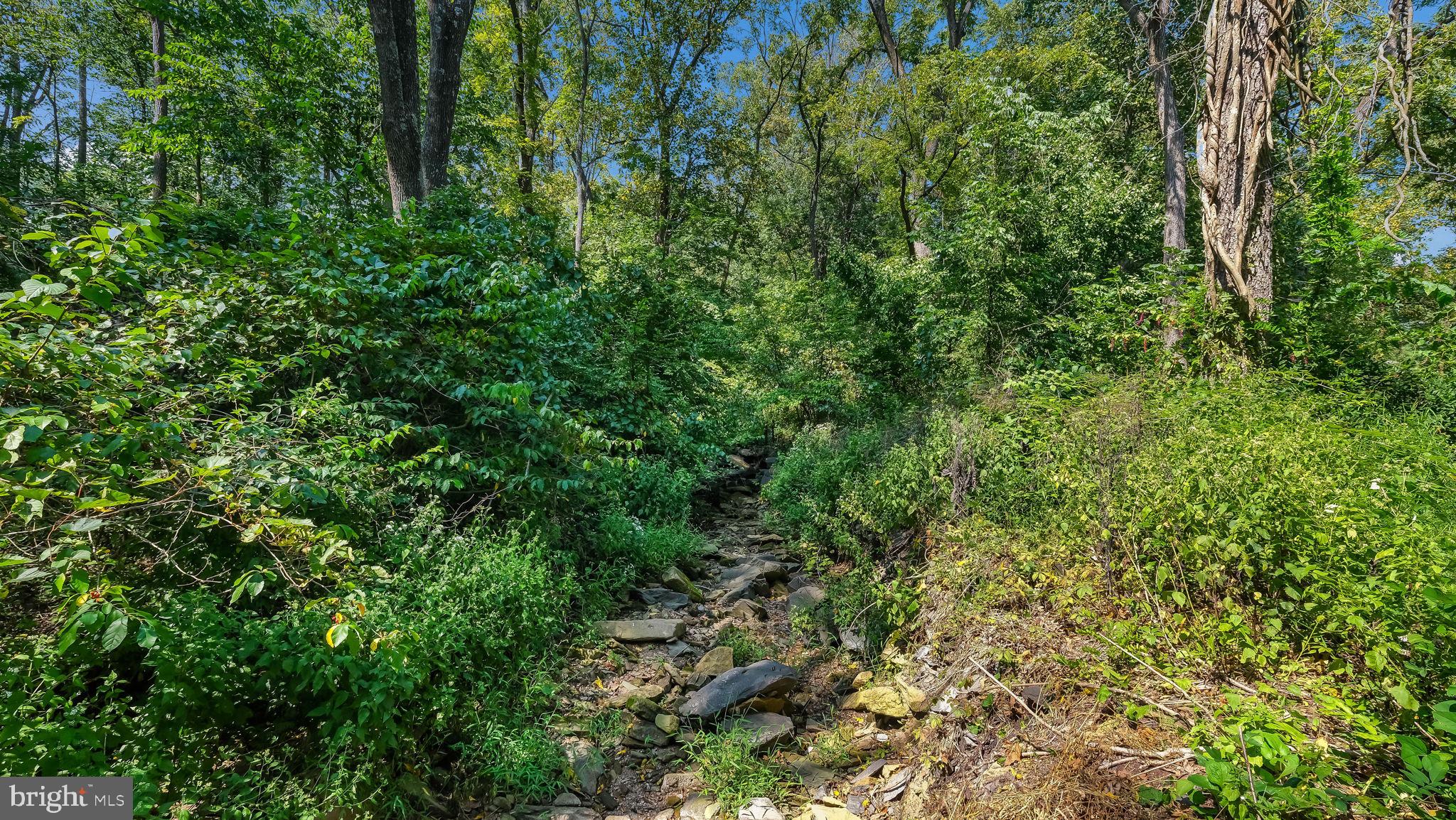 4522 Bergstrom Road Doylestown, PA 18902 - Photo 50 of 54 Yard