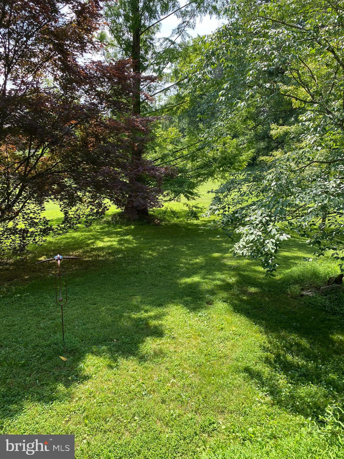 4522 Bergstrom Road Doylestown, PA 18902 - Photo 51 of 54 Yard with Specimen Trees