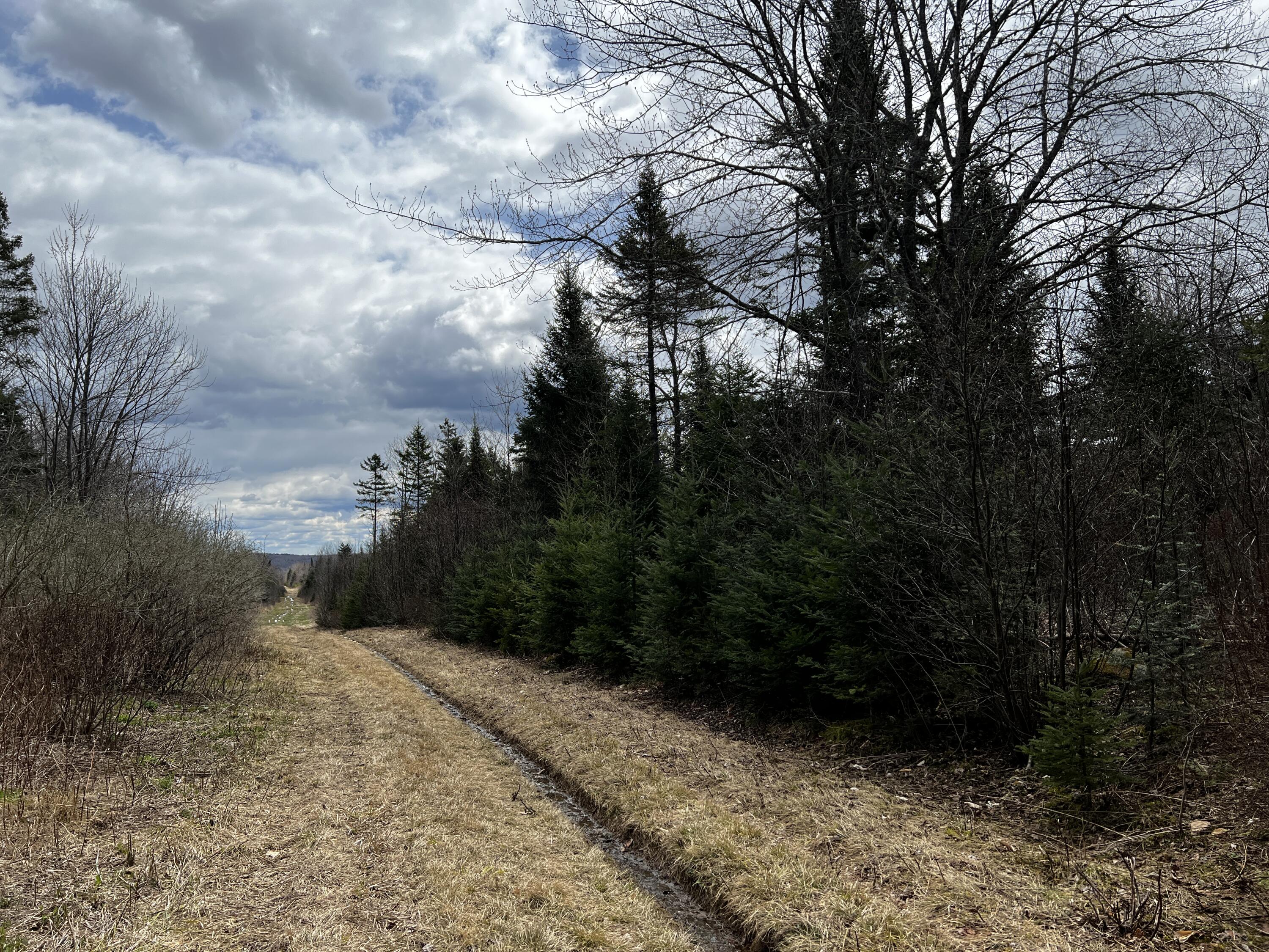 Lot 2-18 Shin Pond Rd Mount Mount Chase, ME 04765 - Photo 54 of 59