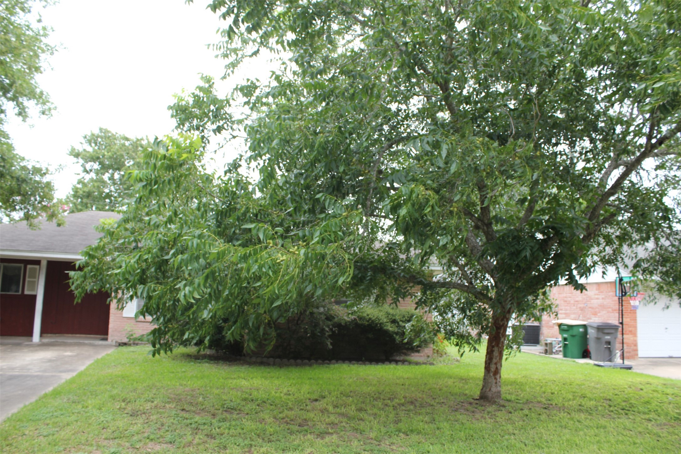1610 Bexar Avenue Victoria, TX 77901 - Photo 4 of 30 front view of a house with a yard