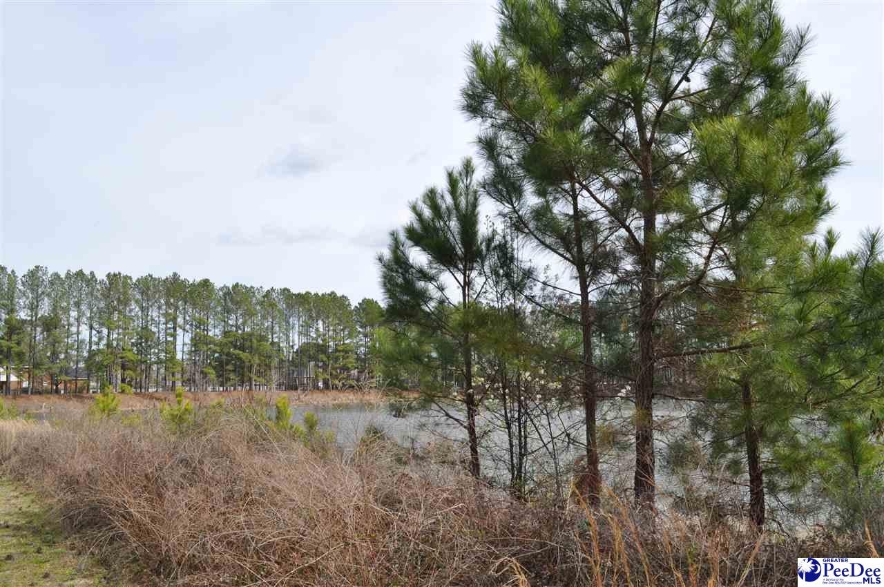 Tbd Crater Road Marion, SC 29571 - Photo 26 of 33 Gallery Image 26