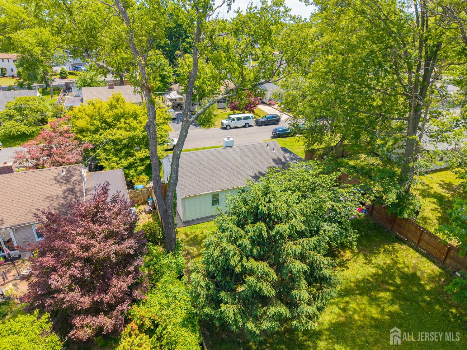 12 Pierrepont Avenue Middlesex, NJ 08846 - Photo 29 of 30 a picture of trees