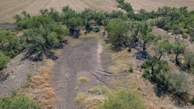 an aerial view of a yard with plants and trees all around