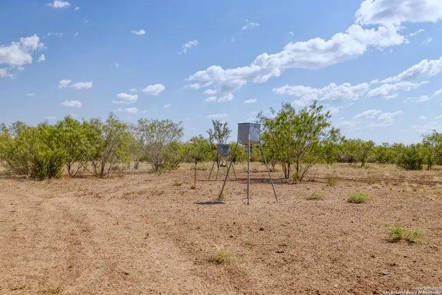 a view of a yard with a tree