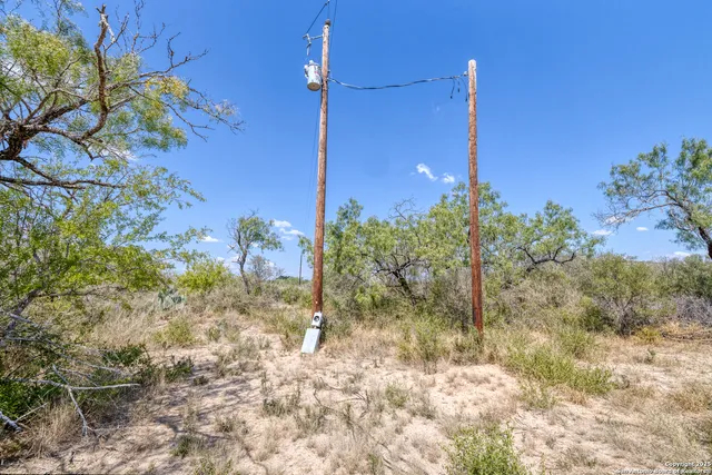 a view of a yard with an tree
