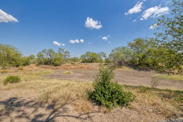 a view of a dry yard with trees