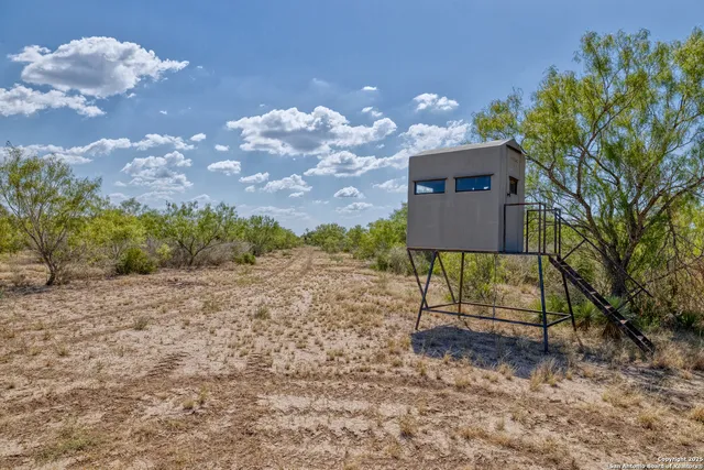 a view of a dry yard with wooden fence