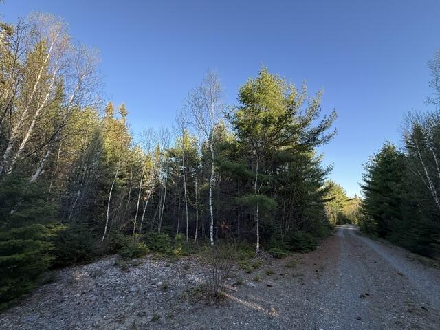 Lot 009 Off Of Reynolds Brook Road Whiting, ME 04691 - Photo 14 of 17 IMG_9991 (2)