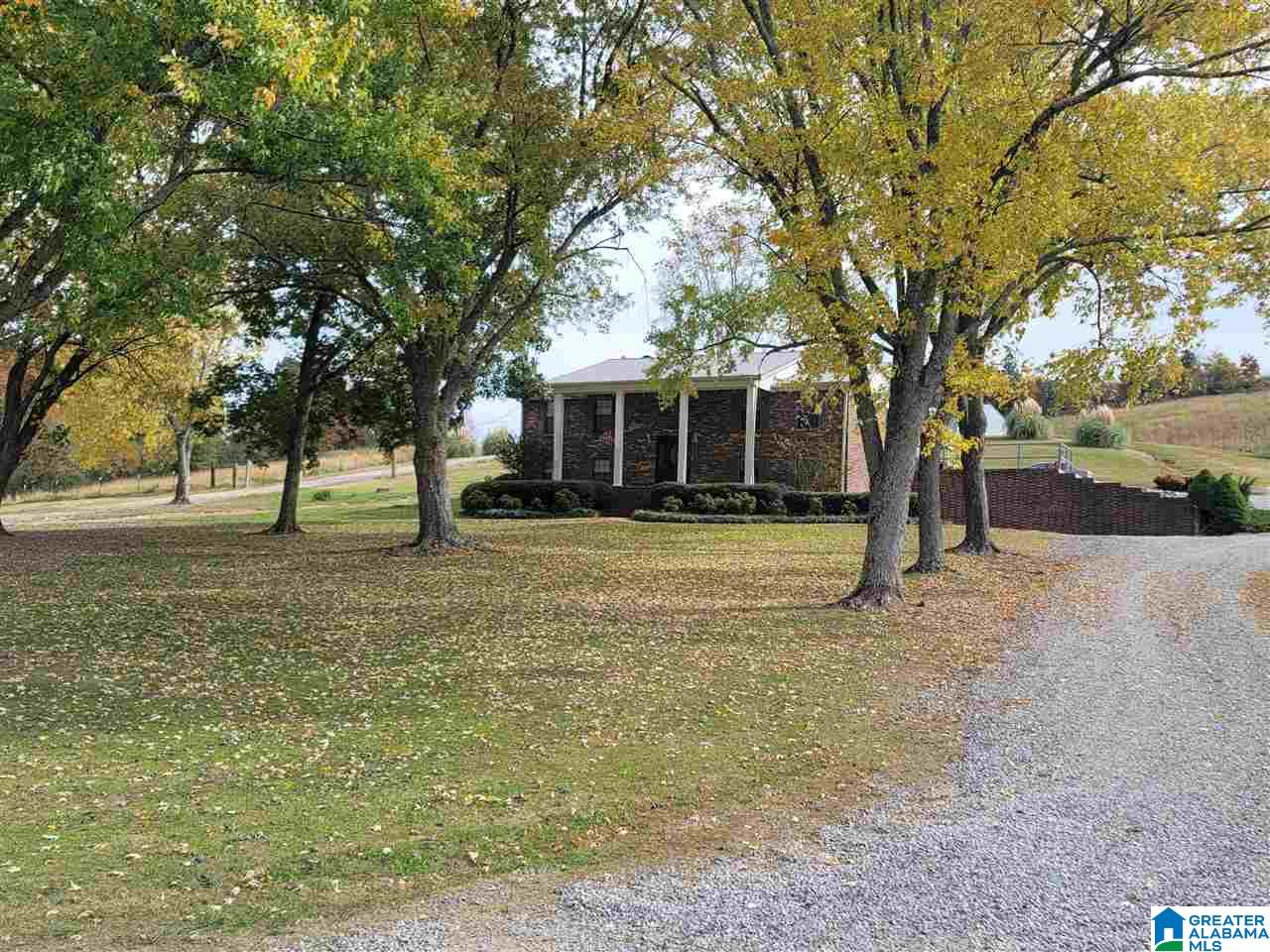 2182 Pitt Road Blountsville, AL 35031 - Photo 2 of 34