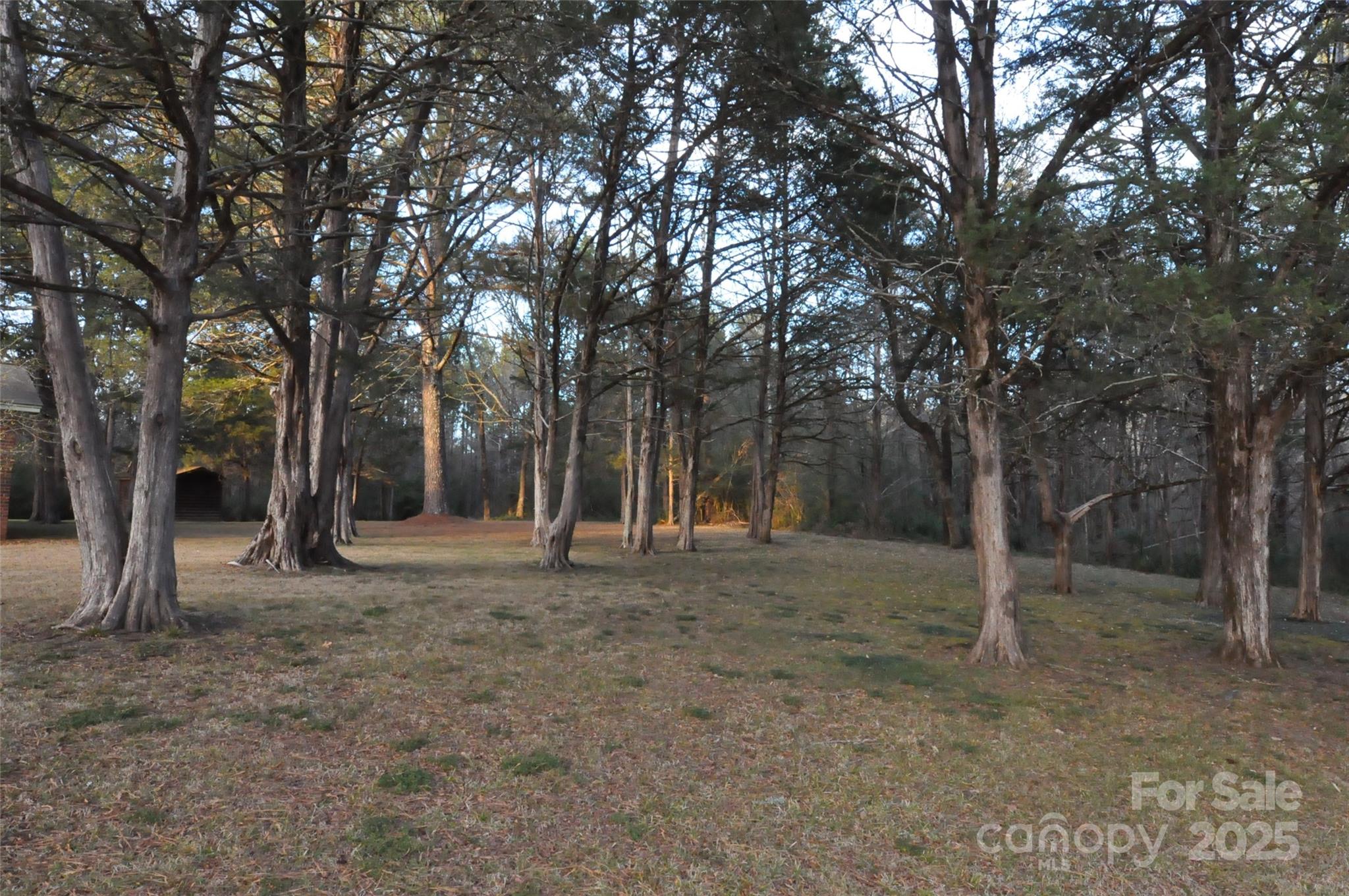 752 Cedar Lane Chester, SC 29706 - Photo 38 of 38 a view of a forest with trees in the background