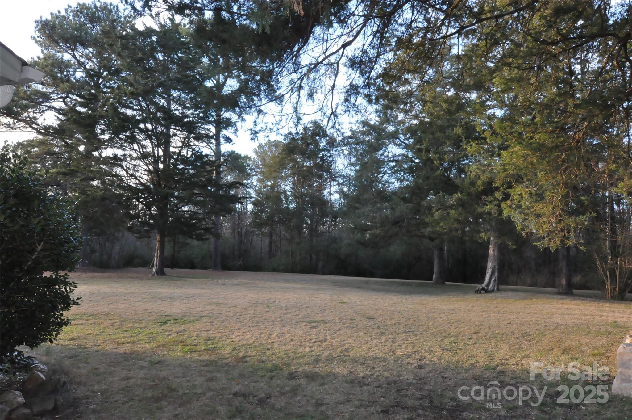752 Cedar Lane Chester, SC 29706 - Photo 5 of 38 a backyard of a house with lots of green space