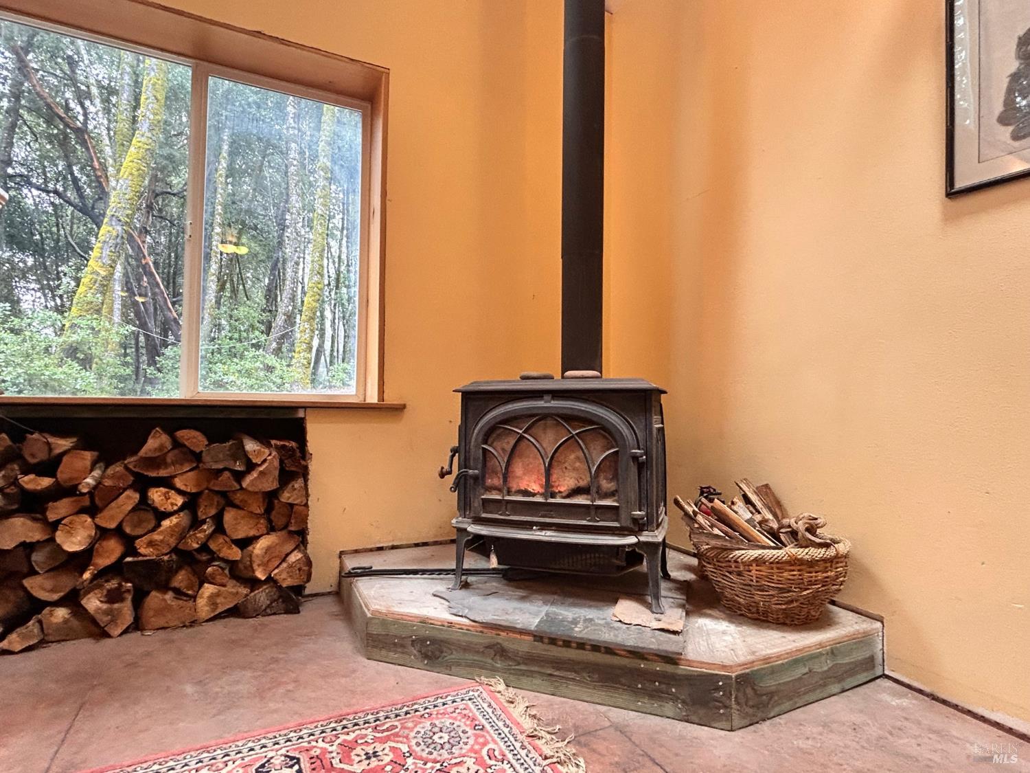 29281 Timberline Road Willits, CA 95490 - Photo 10 of 38 Gallery Image 10