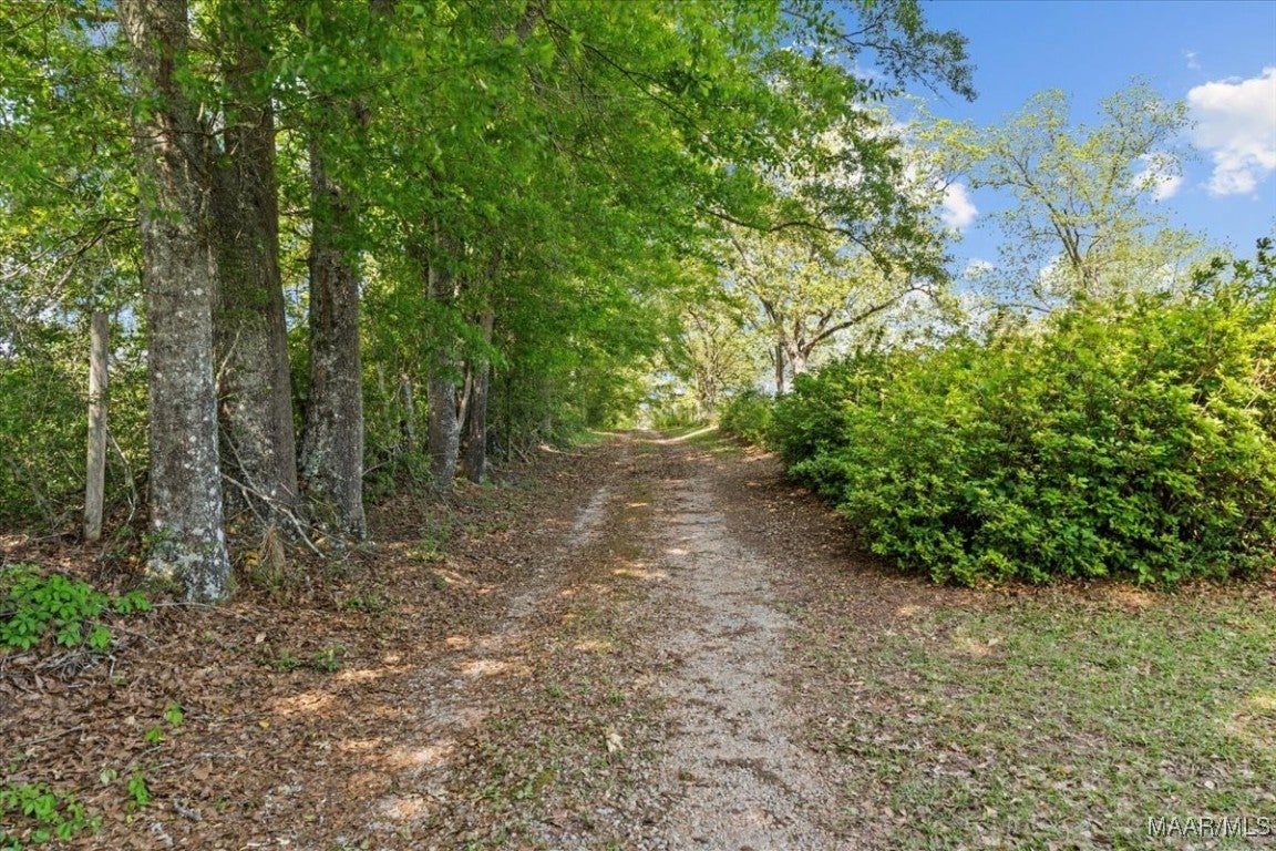 29858 Straughn School Road Andalusia, AL 36421 - Photo 30 of 39 Gallery Image 30