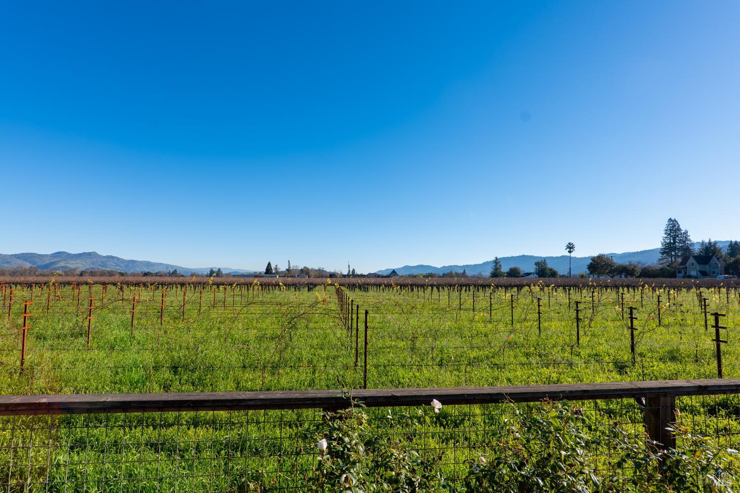 1135 Rutherford Road Rutherford, CA 94558 - Photo 27 of 77