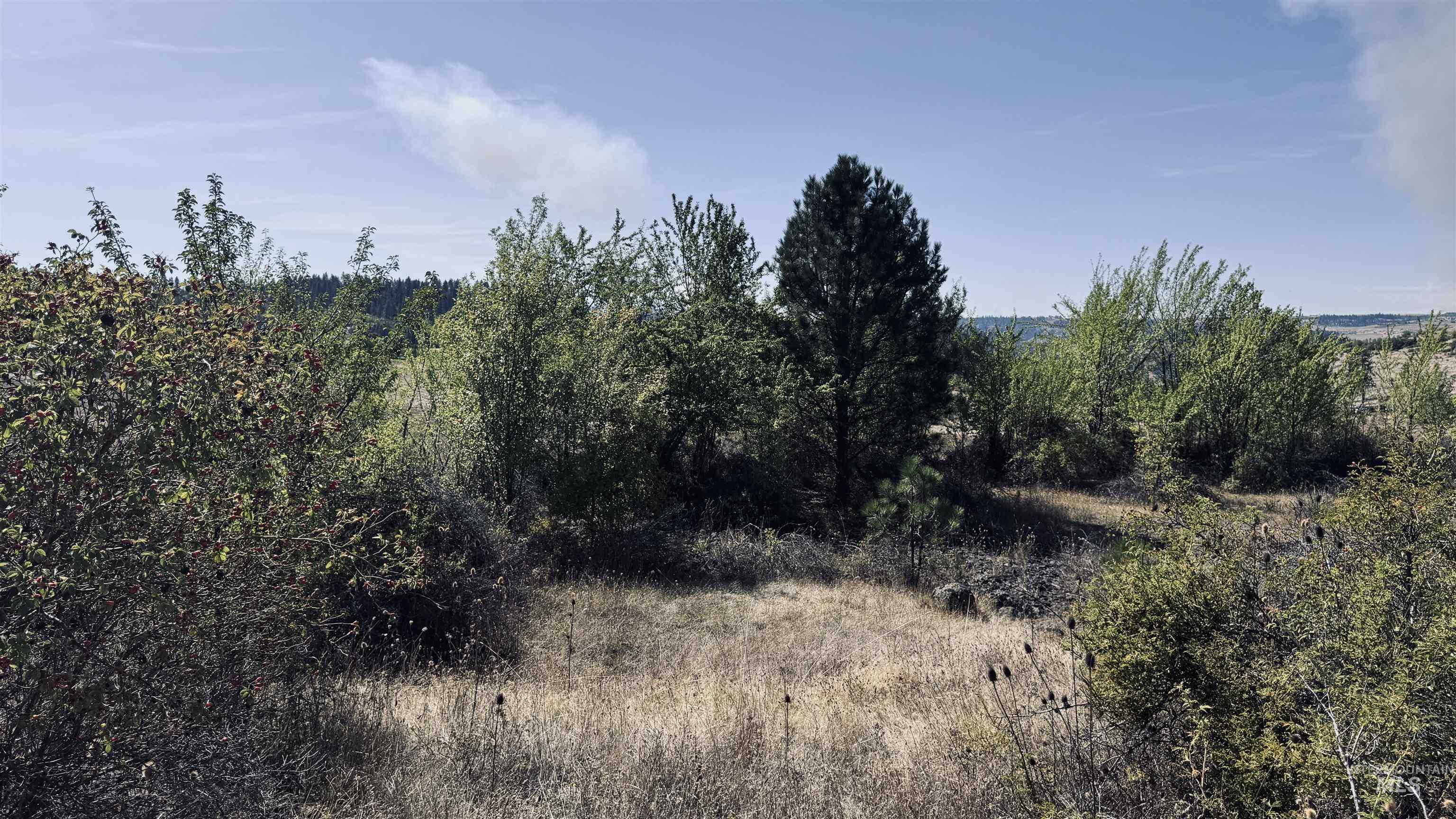 Tbd Dalton Acres Road Stites, ID 83552 - Photo 14 of 50 Gallery Image 14