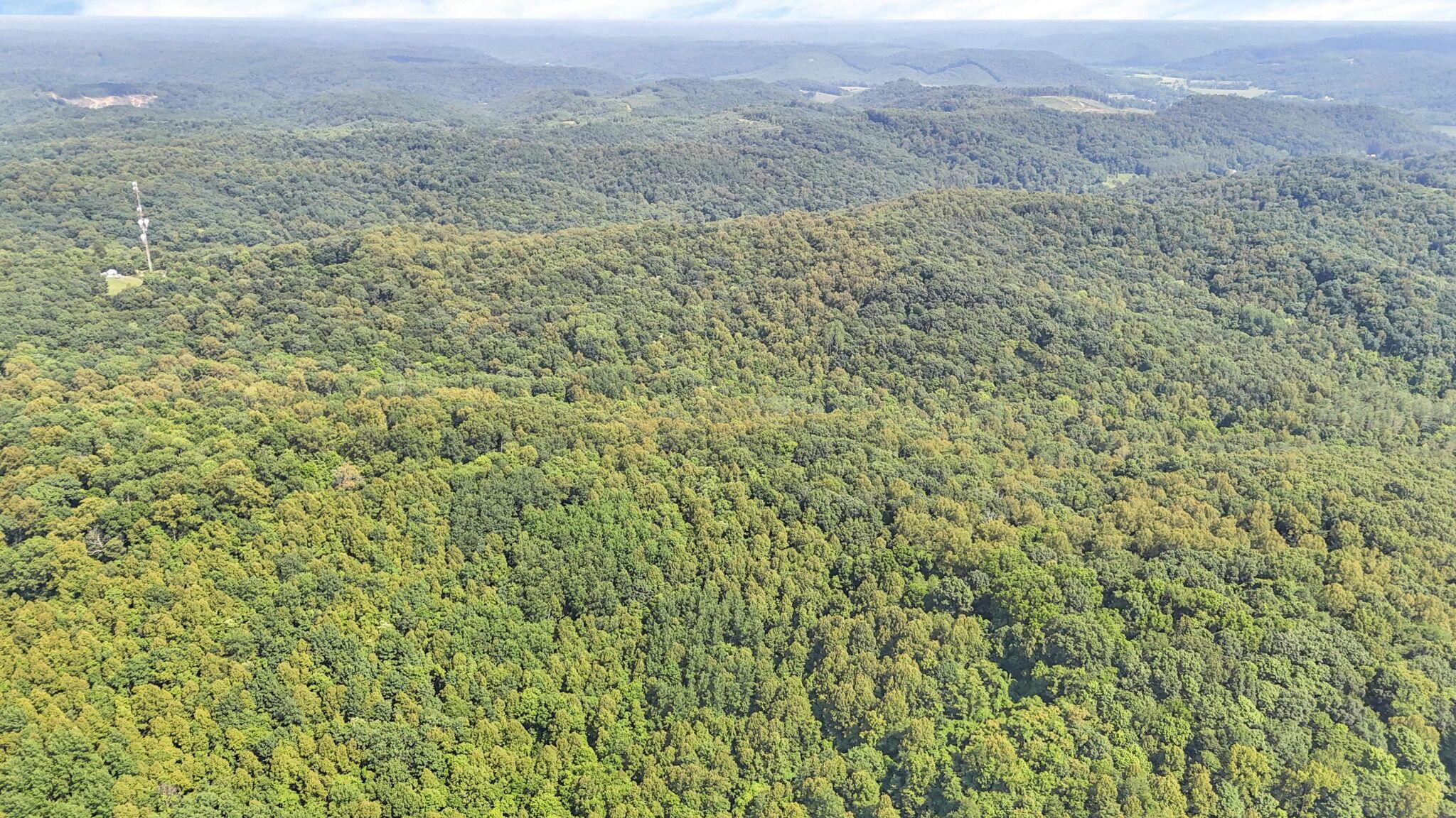 0 Thad Hall Road Laurelville, OH 43135 - Photo 15 of 28 5-web-or-mls-DJI_20240621161121_0066_D