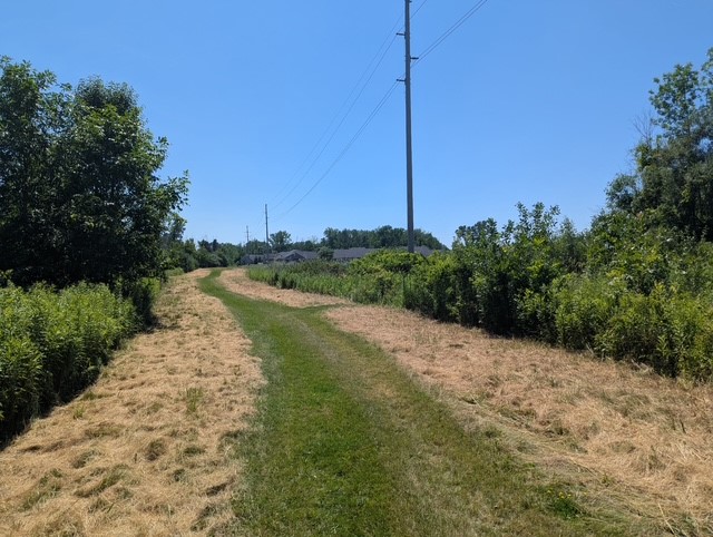 933 Pathway Lane Webster, NY 14580 - Photo 50 of 50 Private Walking Trail