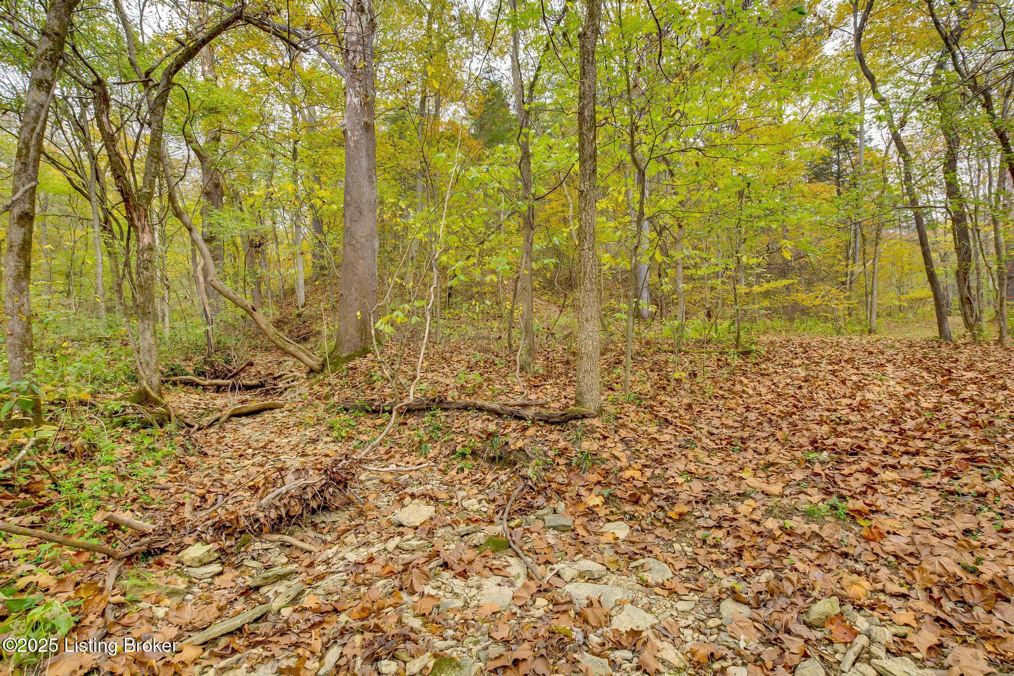 Lot 8 Bray Ridge Road Bedford, KY 40006 - Photo 29 of 46 BrayRidgeRd_758