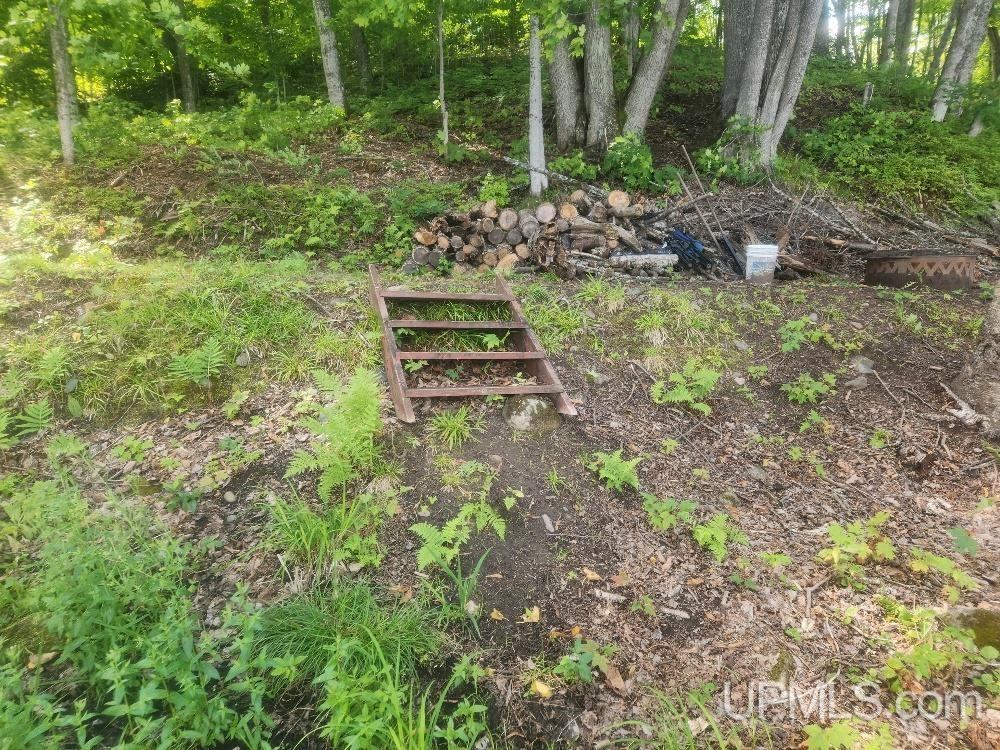 Tbd West Tamarack Lake Road, Unit LOT 5 Watersmeet, MI 49969 - Photo 54 of 66