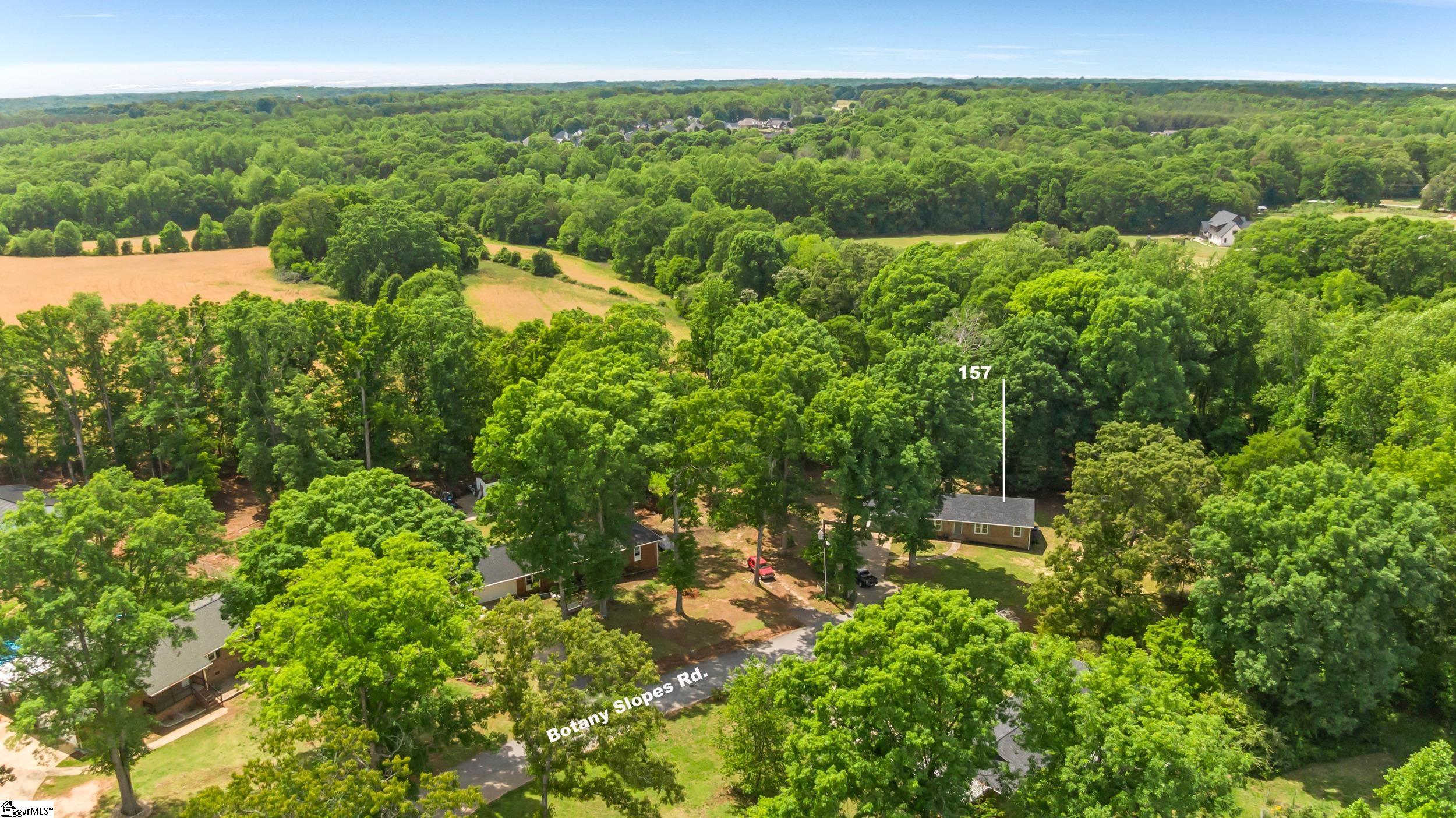 157 Botany Slopes Road Piedmont, SC 29673 - Photo 33 of 34
