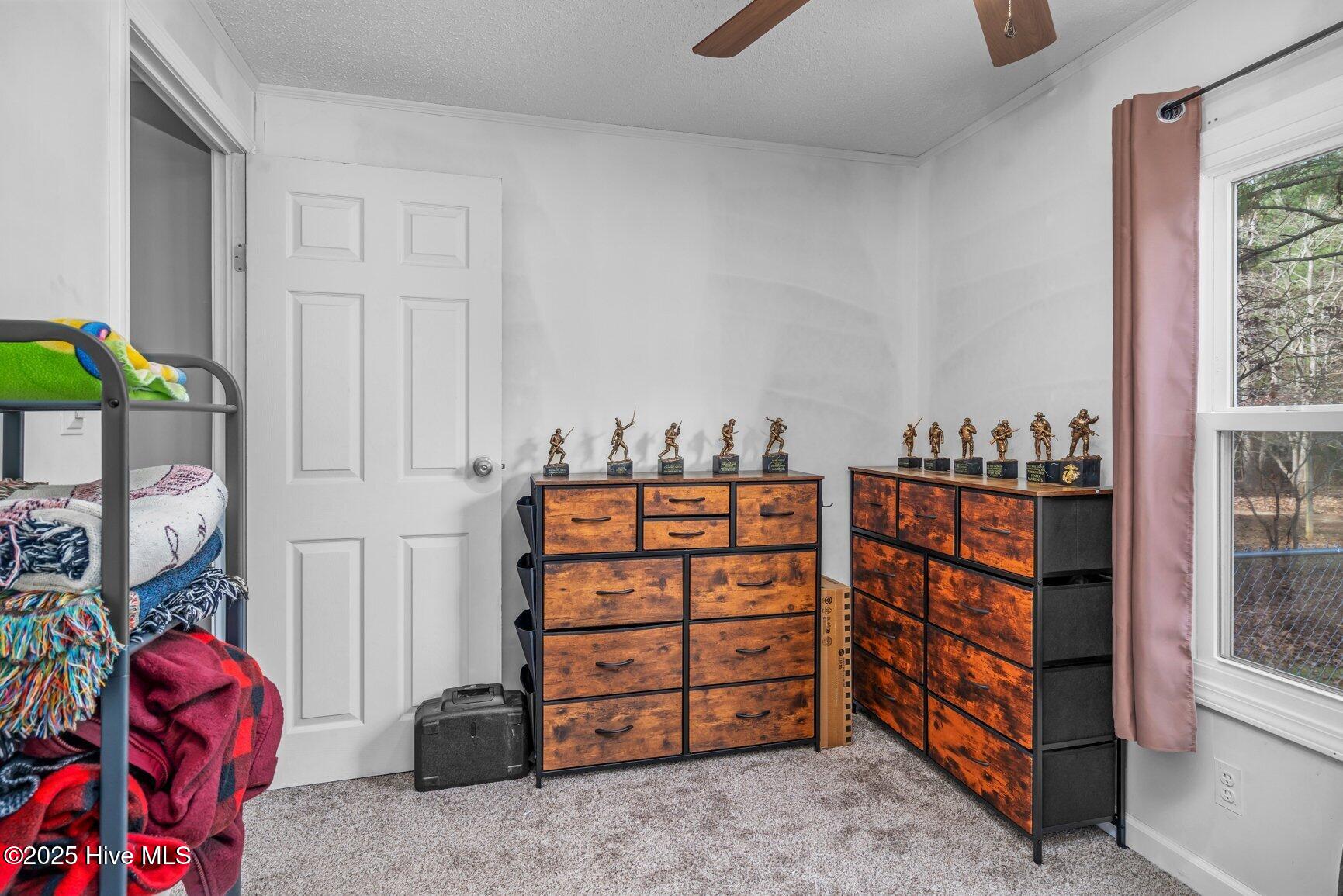 3824 Harrison Road Castalia, NC 27816 - Photo 20 of 47 Closet Flex Storage
