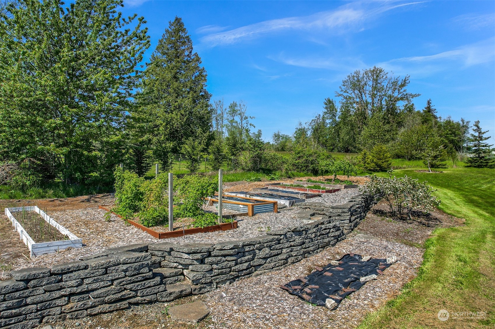 4979 Elder Road Ferndale, WA 98248 - Photo 21 of 24 a view of a yard with an trees