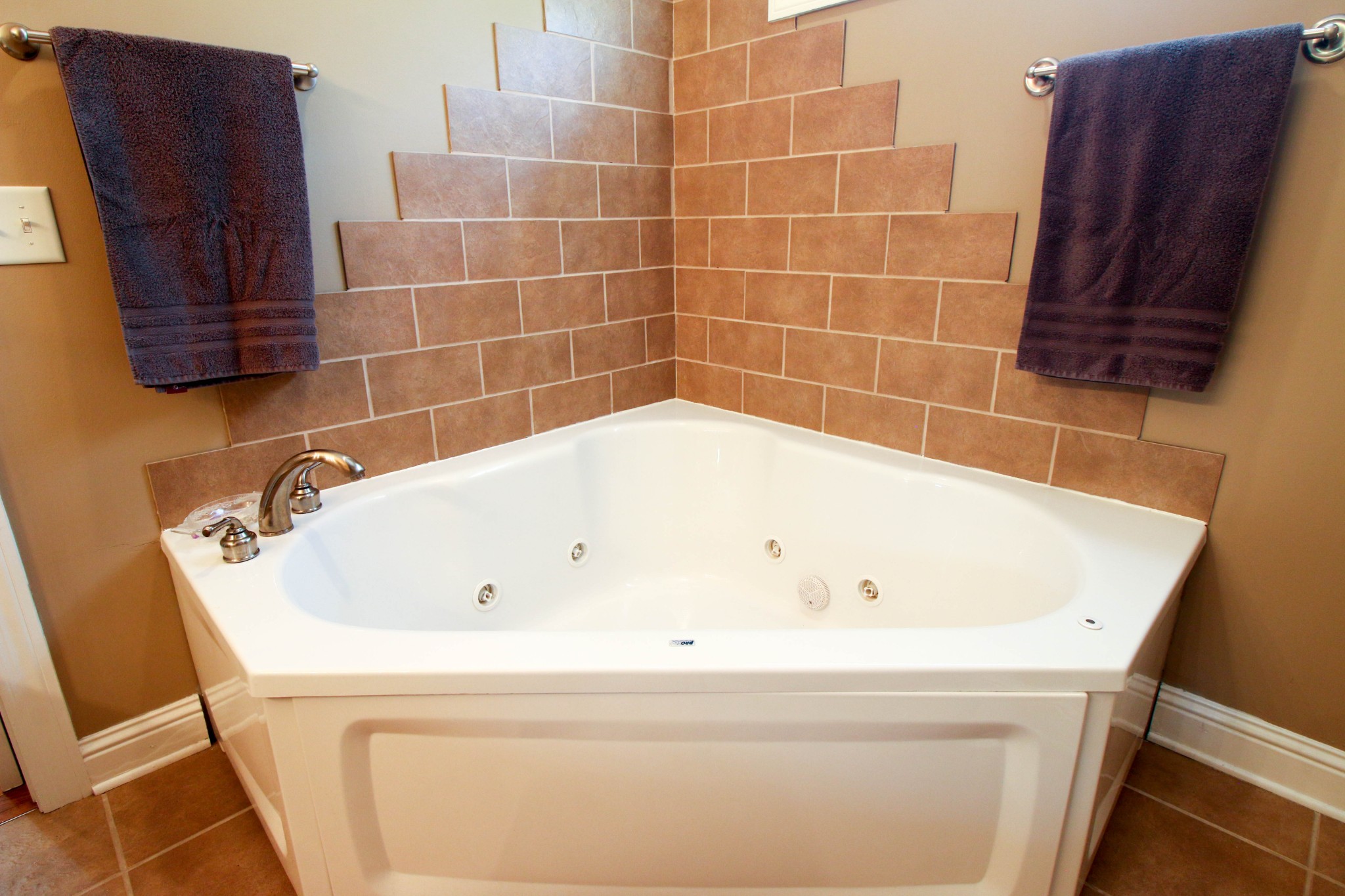 1783 Friendship Road Cross Plains, TN 37049 - Photo 18 of 24 a bathroom with a bathtub