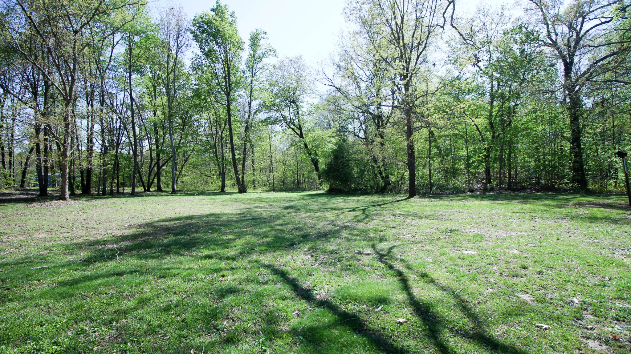 1783 Friendship Road Cross Plains, TN 37049 - Photo 7 of 24 a view of outdoor space with trees