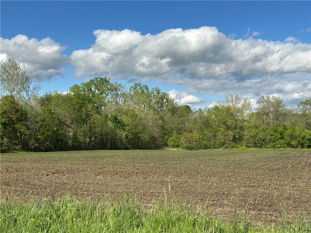 1 Albany Road Orrick, MO 64077 - Photo 2 of 2