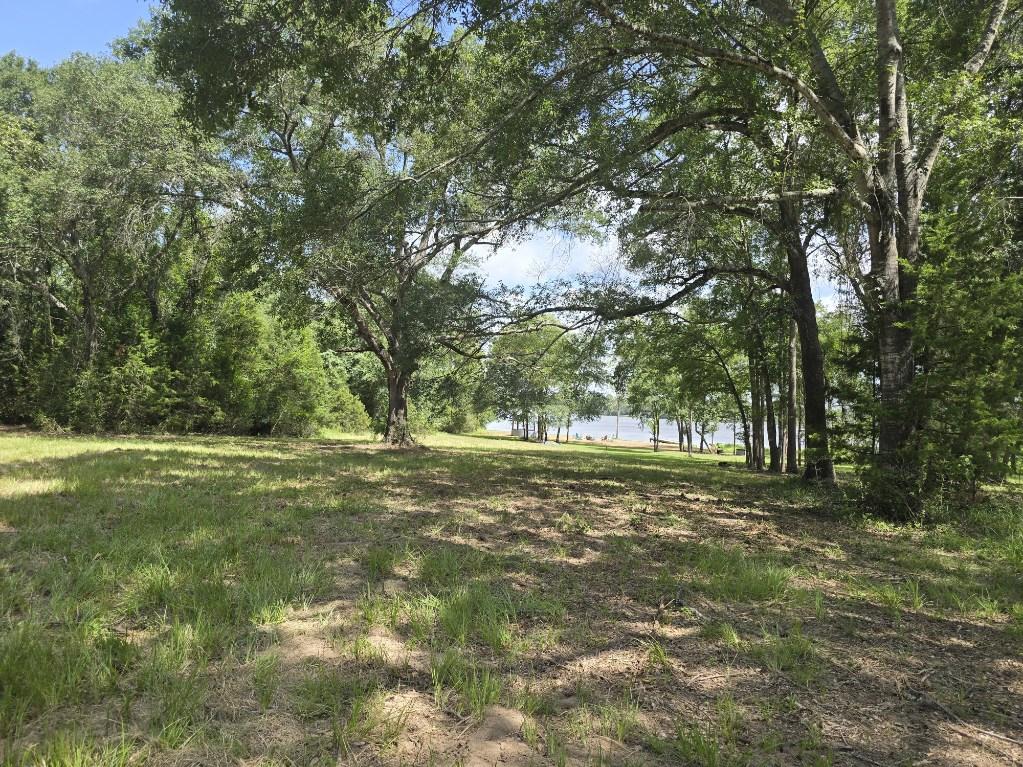 9141 Clyde Acord Road, Unit LOT 436 Franklin, TX 77856 - Photo 2 of 6 a yard with trees