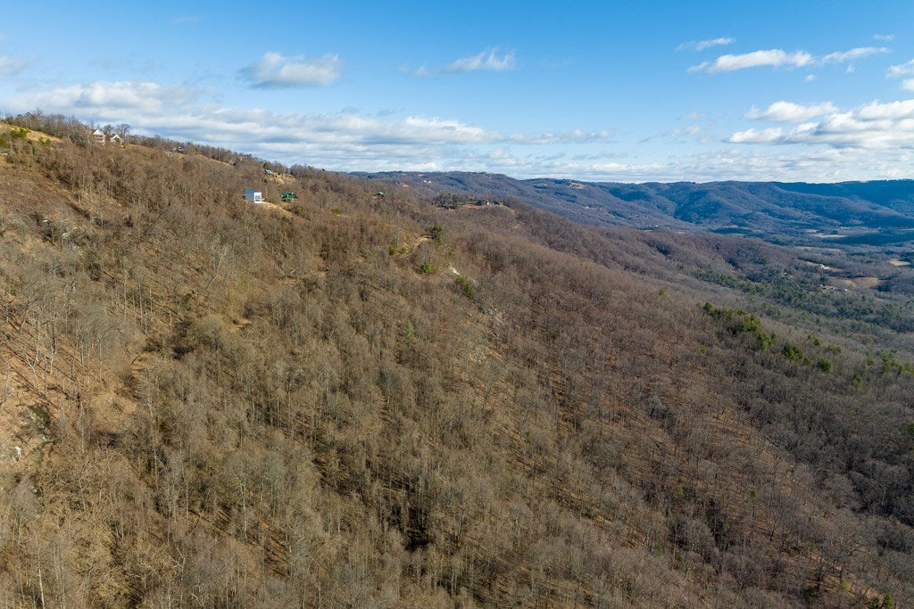 Lot 104 Spring Pond Trail, Unit 104 Fancy Gap, VA 24328 - Photo 11 of 54 Gallery Image 11