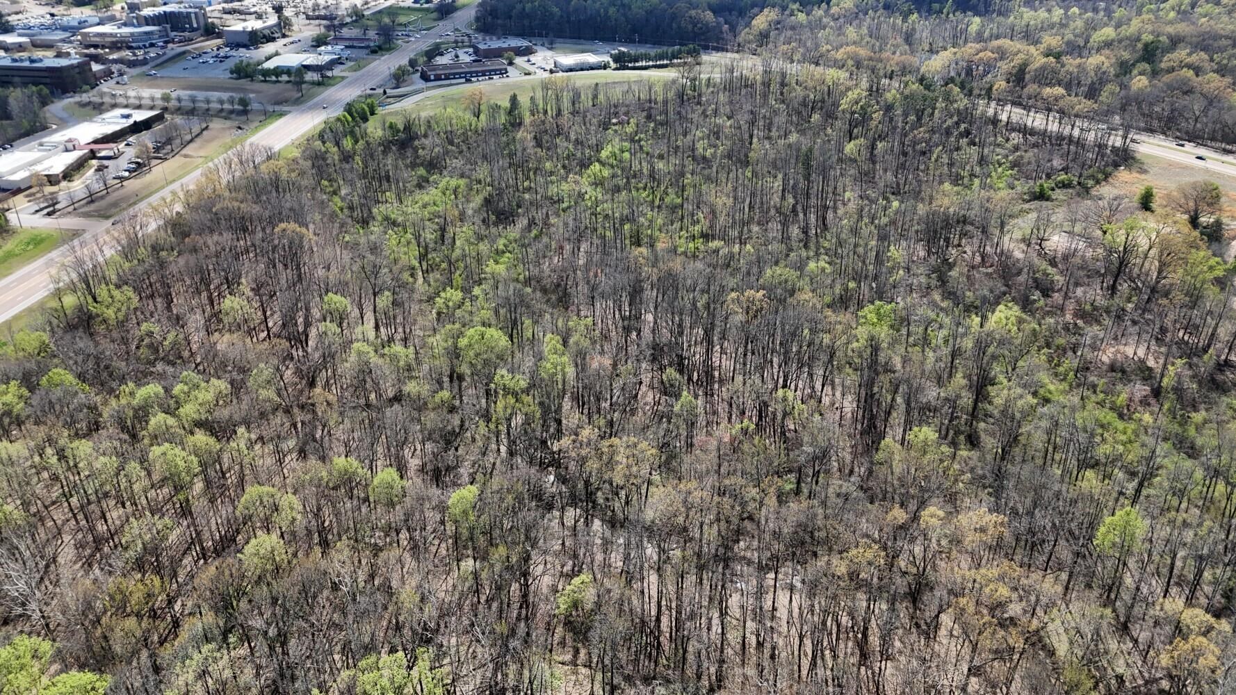 Aerial view with a wooded view