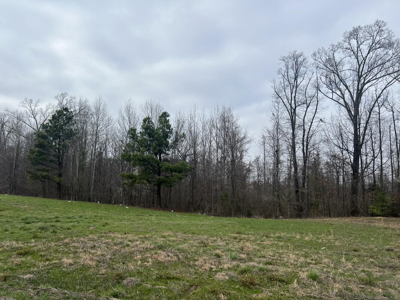 0 Singleton Parkway Memphis, TN 38128 - Photo 6 of 7 View of nature with a view of trees