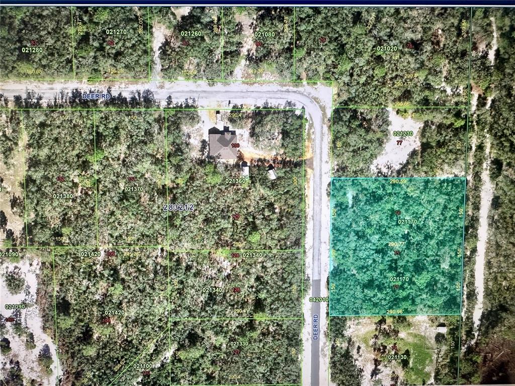Deer Road Frostproof, FL 33843 - Photo 1 of 1
